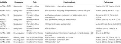 The Roles and Mechanisms of lncRNAs in Liver Fibrosis